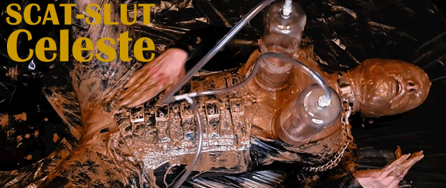HARDCORE SCAT SLUT CELESTE - Used Item Fetish Store, Worn Panties, Shit and Pee Sales Banner